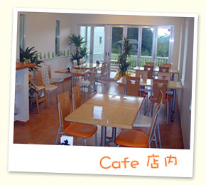 Cafe&nbsp;�X��